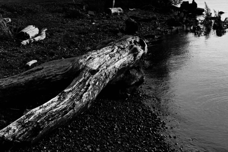 Fine art photography by CYCO PRO MEDIA