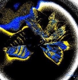 Fine art photography by CYCO PRO MEDIA