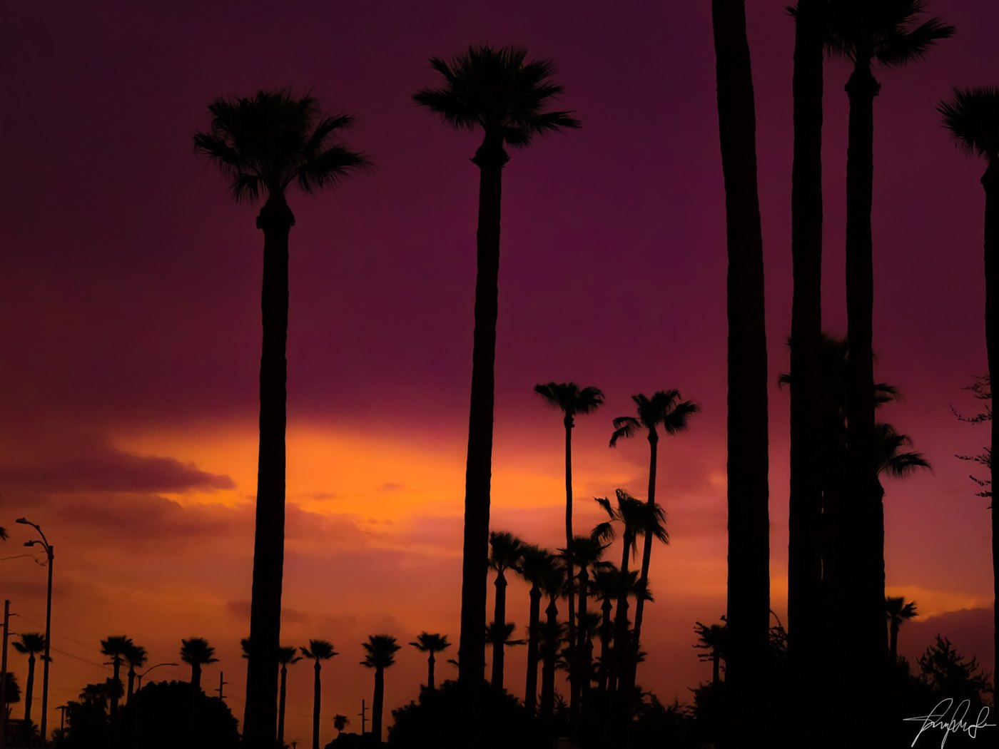 Fine art photography by CYCO PRO MEDIA