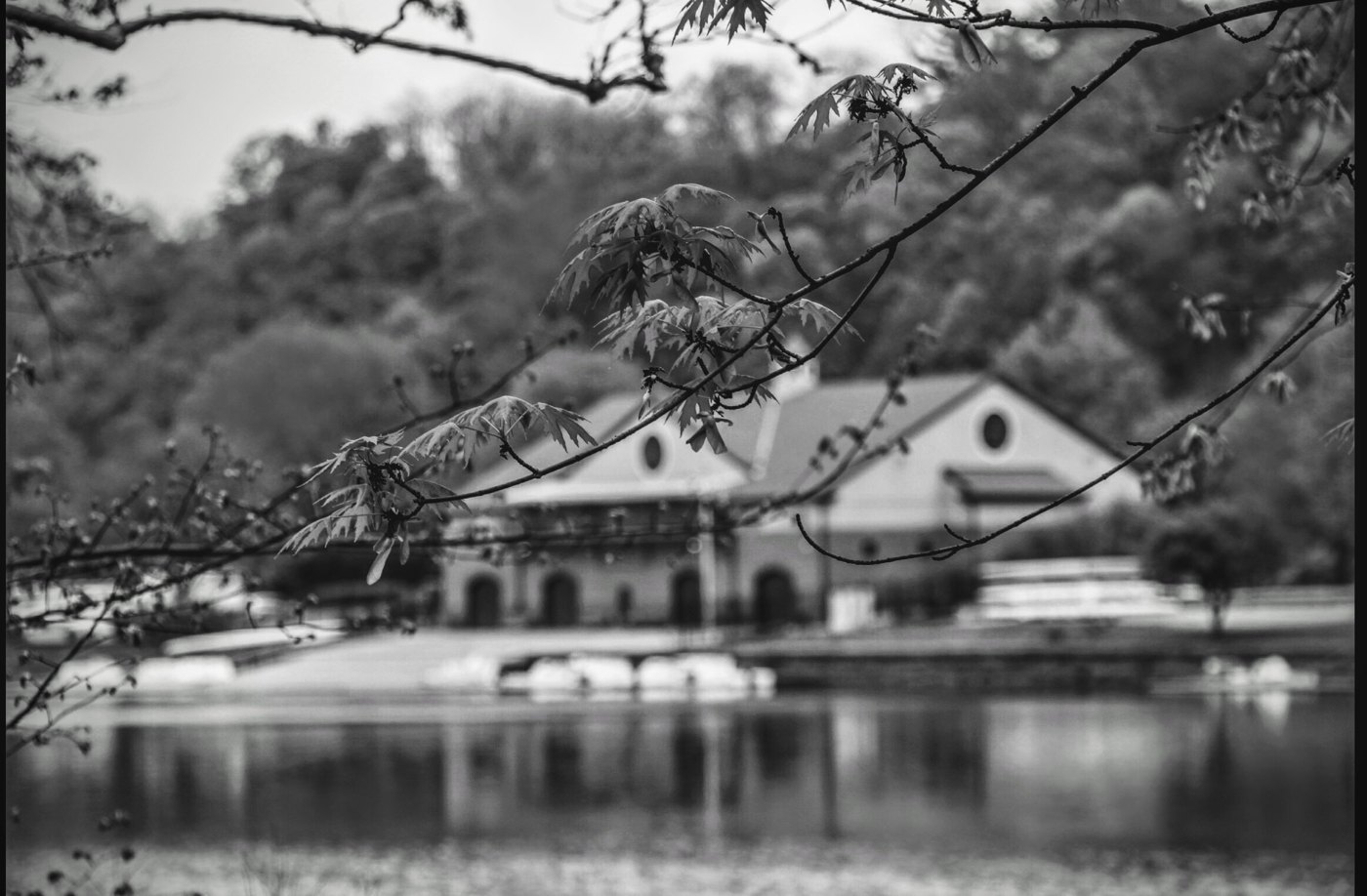 Fine art photography by CYCO PRO MEDIA