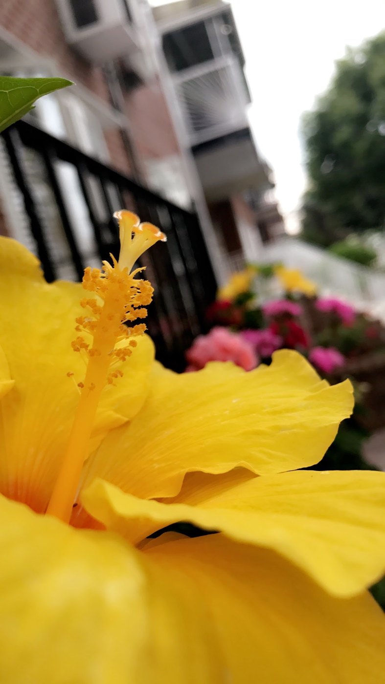 Fine art photography by CYCO PRO MEDIA